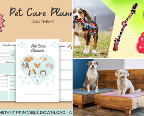 Pet care for dogs cover photo collage