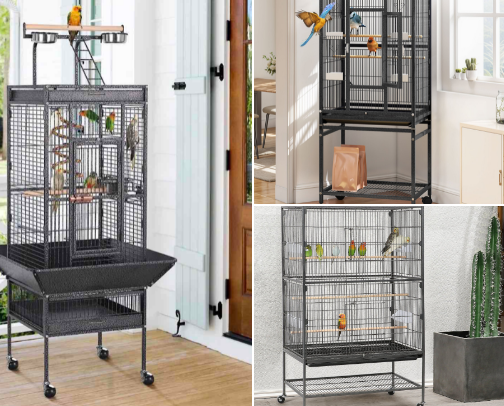 Must haves for first time bird owners! (Small birds) cover photo collage