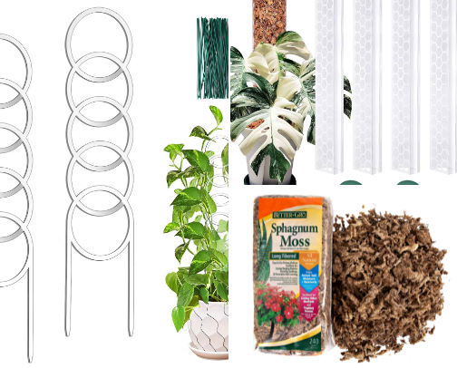 House Plant Essentials cover photo collage