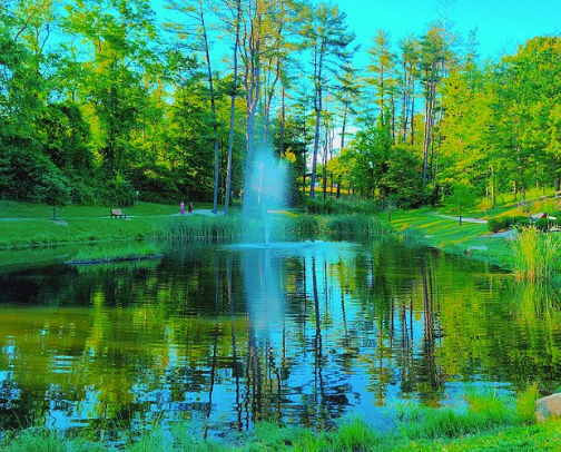 My top Coraopolis recs cover photo collage