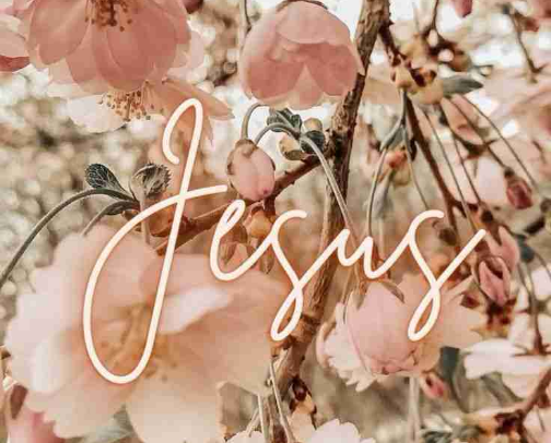 Faith Filled Mornings Must Have cover photo collage