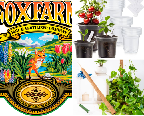 Plant beginners guide cover photo collage