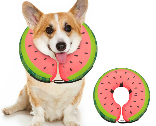 Dog Products that We Love & use all the time! cover photo collage