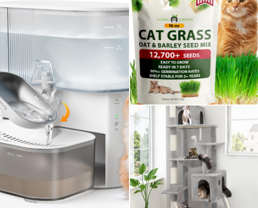 Cat Toys, Treats & Essentials cover photo collage