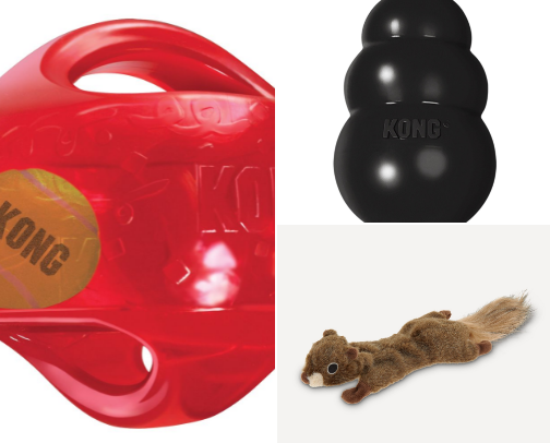Pawfect playtime dog toys cover photo collage