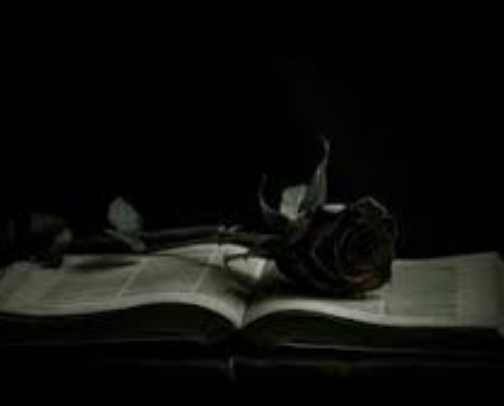 Dark Romance books cover photo collage