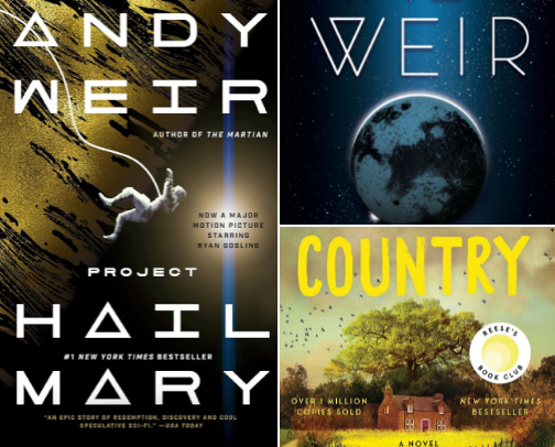 Fiction Books I Have Actually Enjoyed (US) cover photo collage