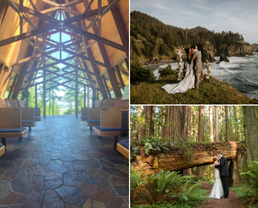 Redwoods Elopment Guide (on a budget) cover photo collage