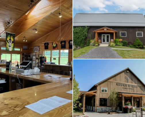 Places to visit- Finger Lakes, NY cover photo collage