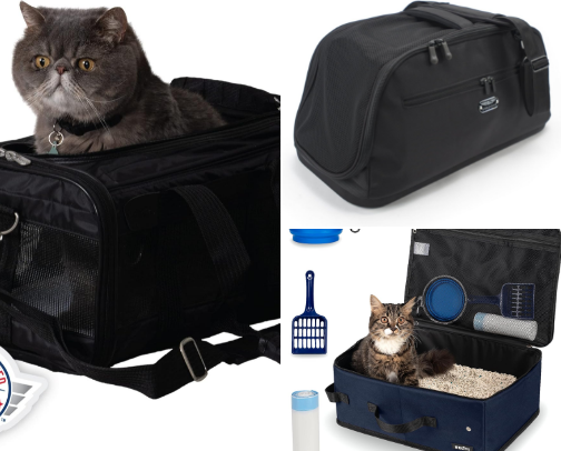 Ultimate Travel Kit for Cats: Everything You Need for Stress-Free Trips cover photo collage
