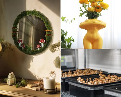 Mushroom Magic cover photo collage