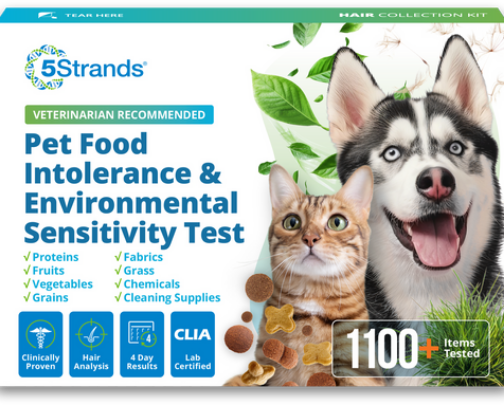 Pet Health and Wellness cover photo collage