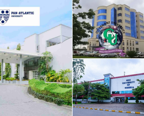 University cover photo collage