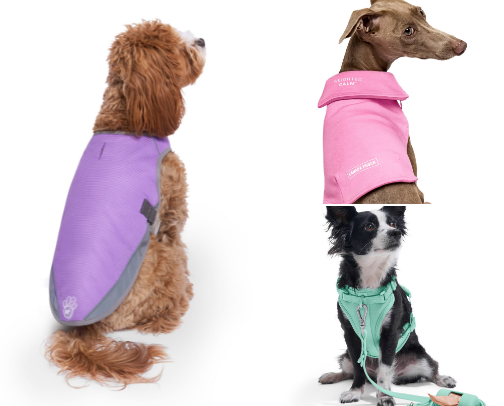 Cutest Finds For Your Furry Friend🐾 cover photo collage