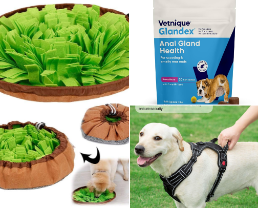 Furry Friend Favorites 🐶🐾 cover photo collage