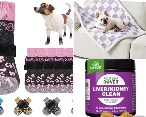 Senior dog cover photo collage