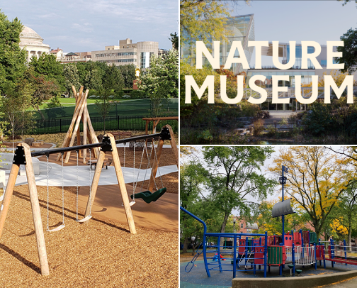 Your Toddler’s Guide to Lincoln Park cover photo collage