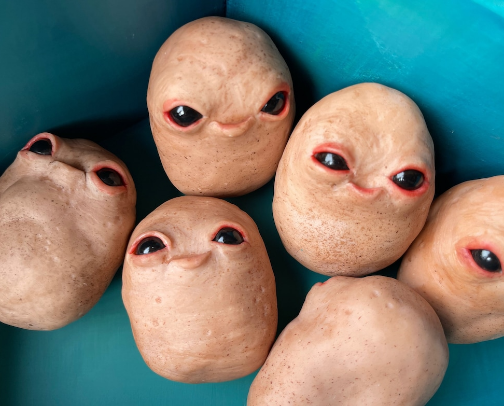 Weird things on the internet! cover photo collage