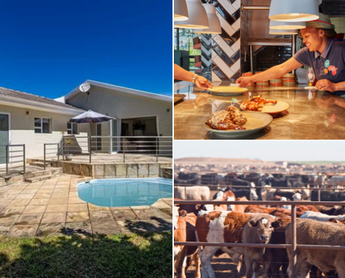 Good Money Investments cover photo collage