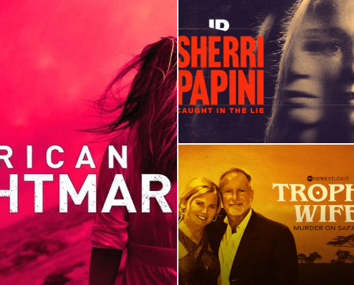 True Crime Junkie cover photo collage