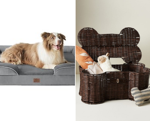 Our pets have recs too cover photo collage