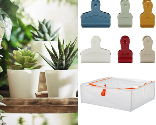 Cute Little Finds That Don’t Feel Expensive cover photo collage