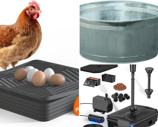 Chicken Keeper cover photo collage