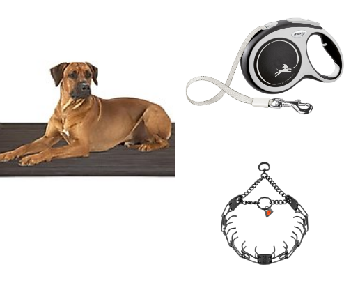 Training tools & needs cover photo collage