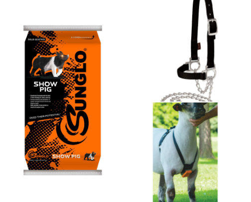 Let’s take care of the Barn/ Outside things cover photo collage