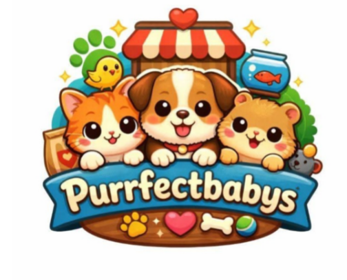 MY PETS' FAVORITE FINDS cover photo collage