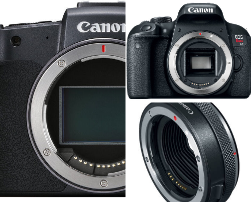 What's In My Camera Bag cover photo collage