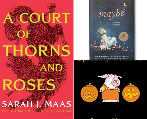 Books my family has read cover photo collage