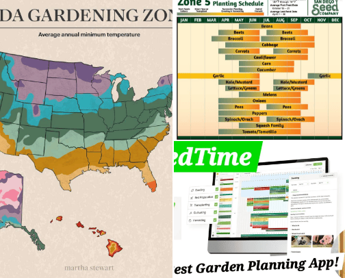 Homesteading tips cover photo collage