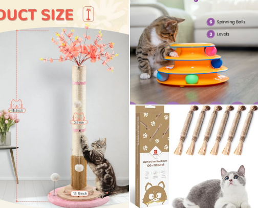 Things you need for your picky cat! cover photo collage