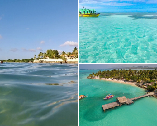 Amazing things to do and see in Tobago cover photo collage