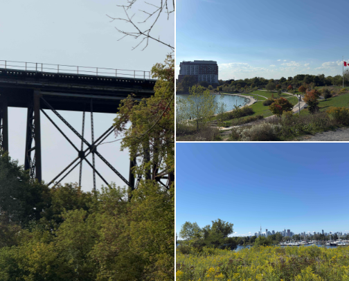 My top Toronto recs cover photo collage