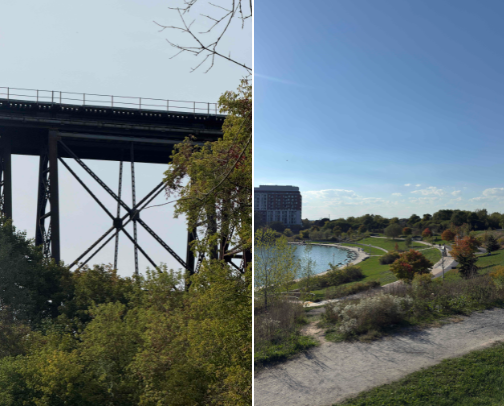 My top Toronto recs cover photo collage