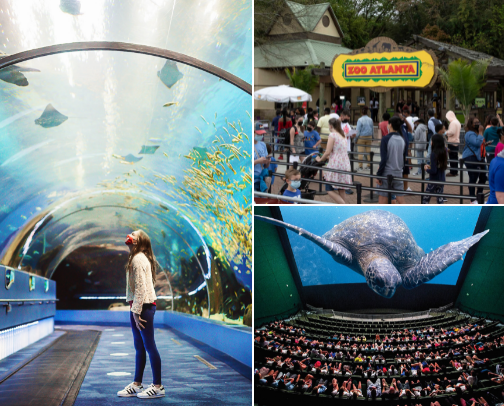 👨‍👩‍👧‍👦 20 Kid-Friendly Spots in and Around Atlanta Every Family Should Know cover photo collage