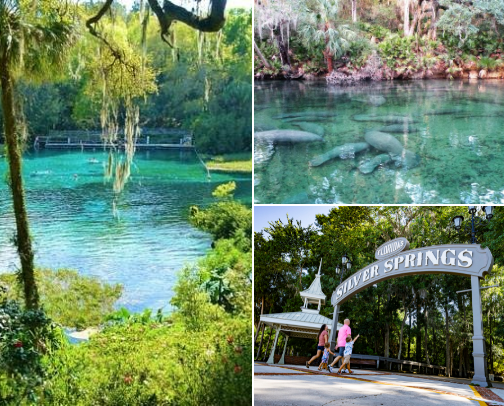 💦 Explore Central Florida’s Hidden Gems Rivers & Springs Edition cover photo collage