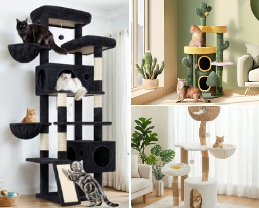 The Ultimate Kitty Kingdom: Everything Your Cat Actually Wants cover photo collage