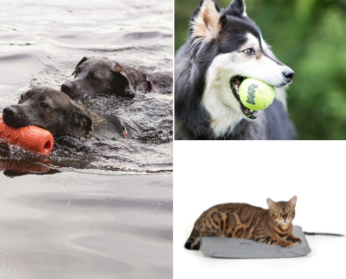 𝗔𝗹𝗹 𝗳𝗼𝗿 𝗬𝗼𝘂𝗿 𝗕𝗲𝘀𝘁 𝗙𝗿𝗶𝗲𝗻𝗱𝘀 🐾❤️ cover photo collage