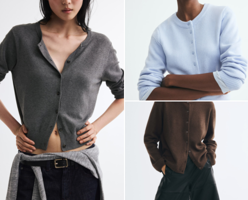 16 Affordable Fall Accessories That Look Expensive 🤎🍂 cover photo collage