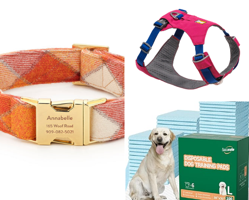 So you got yourself a Siberian Husky… cover photo collage