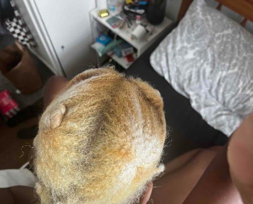 my bleached curly hair care routine⭐️ cover photo collage