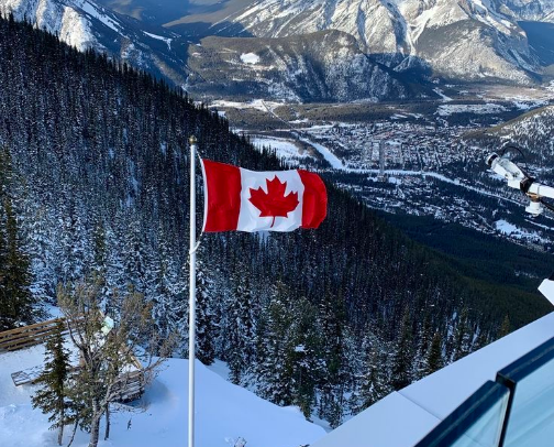 Canadian Businesses to Support in 2026 cover photo collage