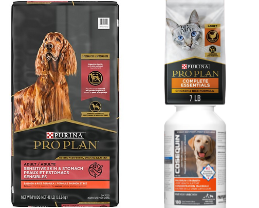 Dog & cat essentials cover photo collage