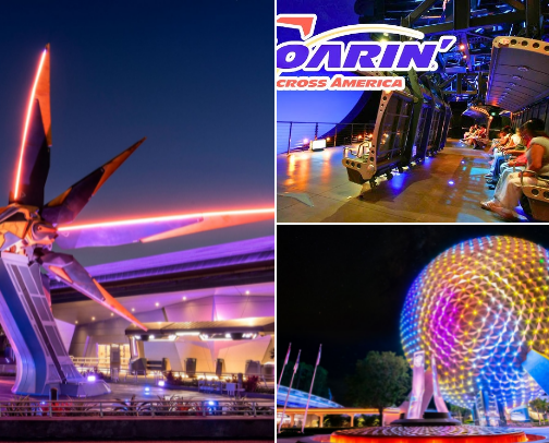 Things To Do In Disney cover photo collage
