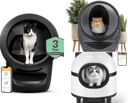 Luxury cat cover photo collage