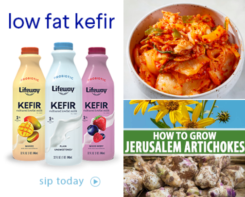 The Frictionless Gut: 10 Daily Essentials for Better Digestion cover photo collage
