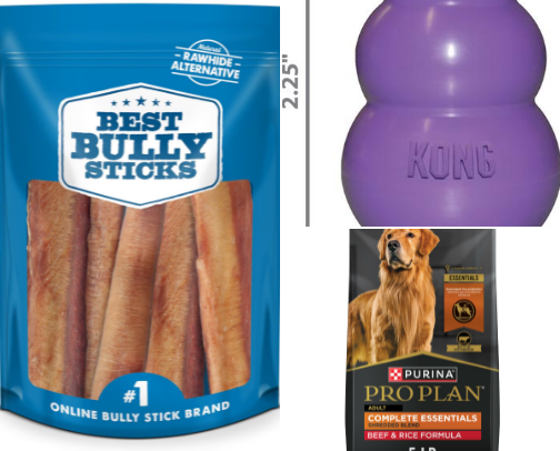 Pets needs and wants cover photo collage